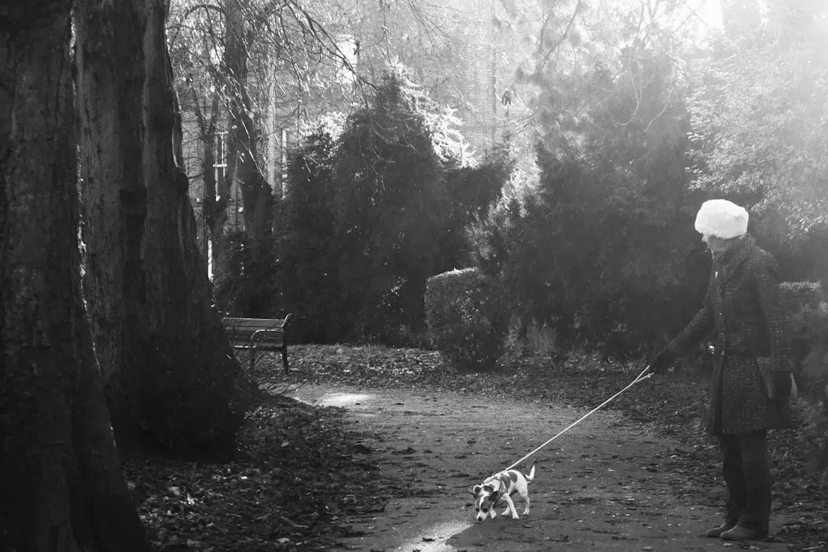Un chien marche sur un sentier en noir et blanc, une promenade qui redevient possible quand la douleur arthrosique recule